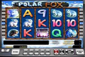 Polar Fox